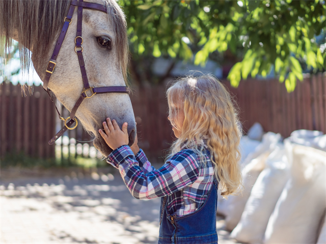 Voltigieren für Kinder: Pferde, Cowboys und Indianer