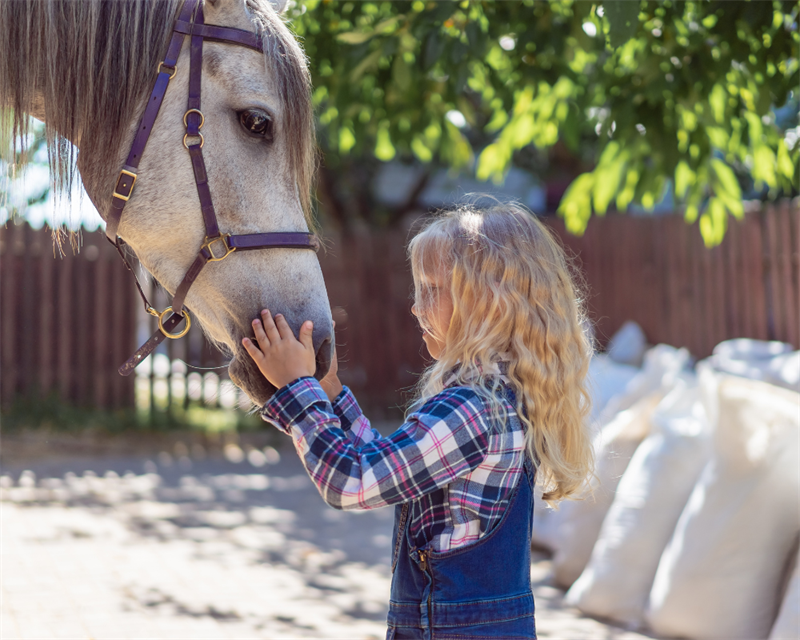 Voltigieren für Kinder: Pferde, Cowboys und Indianer